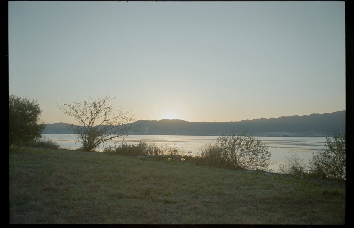 Whale_pic's tweet photo. ポケットに入るフィルムカメラを持ち歩くこと

Rollei35TE
Kodak Gold200 https://t.co/OvgKEnWhjr