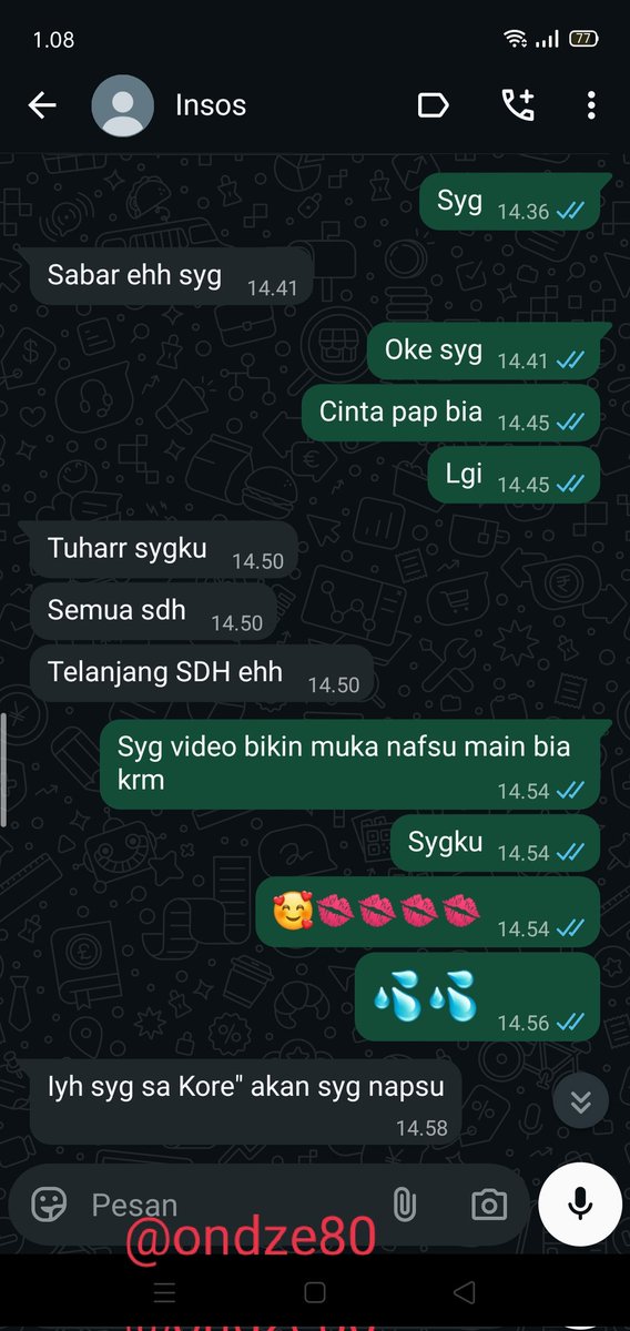 Sentani#88 tweet media