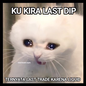 cryptondo's tweet image. 