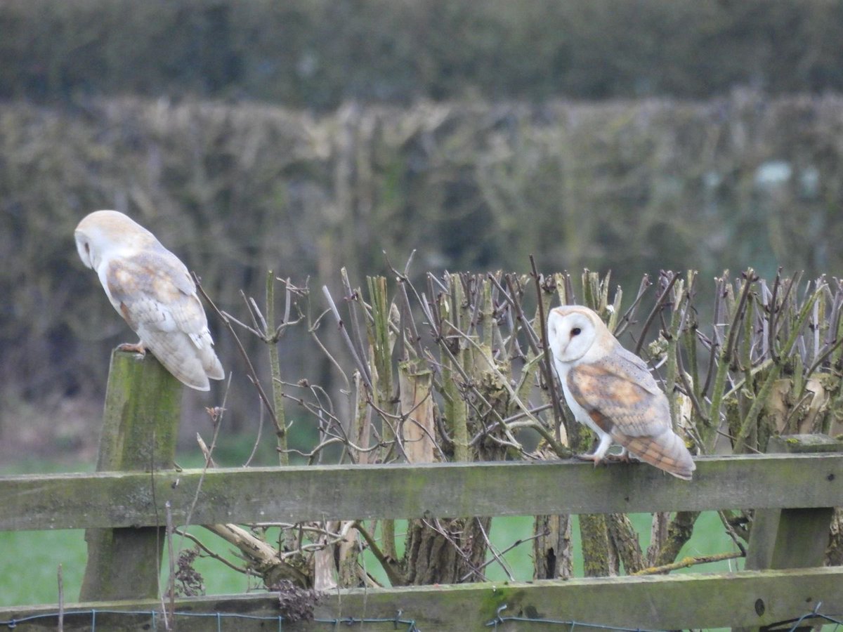 MoreNewsFromNowhere tweet media