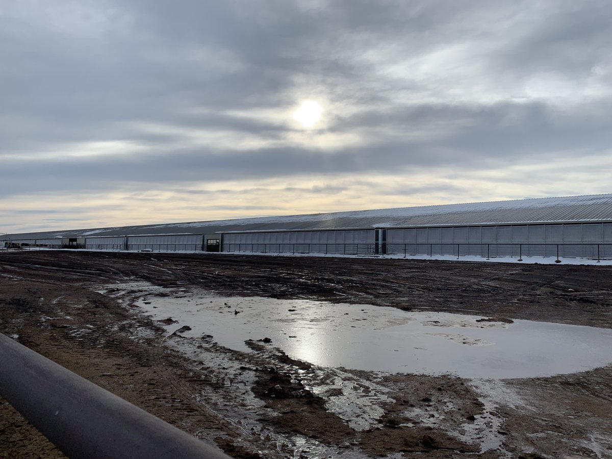 Sun-North Systems tweet media