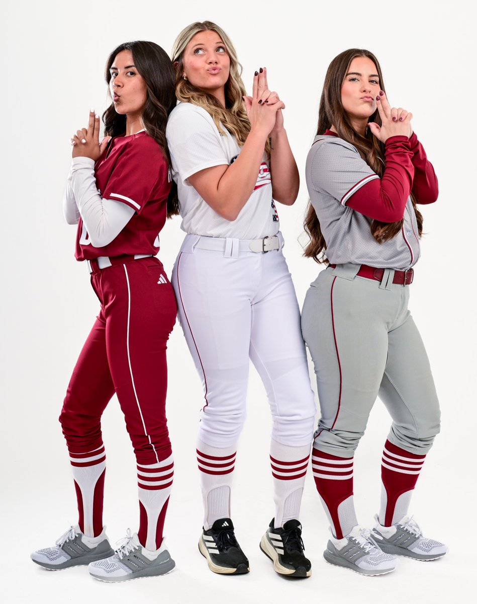 Troy Softball tweet media