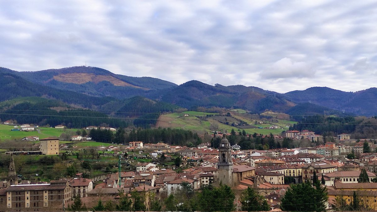 onaticommunity tweet media