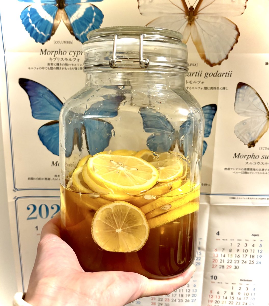 戴いたレモンで、これまた戴いたハチミツでレモンの蜂蜜漬けを作りまし