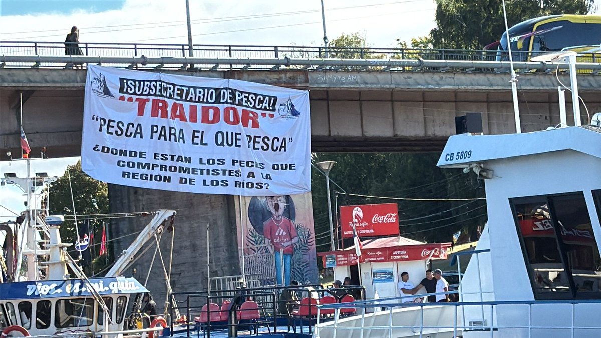 Pescadores pelágicos protestan por la cuota que consideran insuficiente para la operación en la Región de Los Ríos. Temen la pérdida de fuentes laborales. Región Bío Bío es la que más cuota recibe de la Ley 21752 . #valdiviacl #chile #Corral