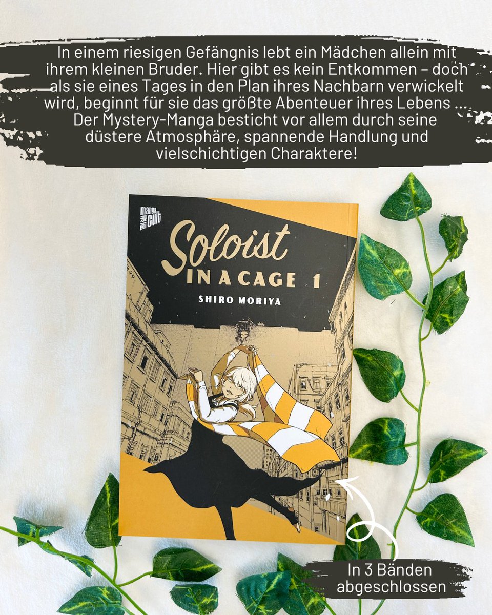 MangaCult's tweet photo. Du hast nicht viel Zeit zum Lesen oder erfreust dich eher an kurzen Reihen? 
Unsere kurzen Reihen eignen sich perfekt für gemütliche Lesestunden. Ob Slice of Life, Horror, Fantasy, Mystery oder Sci-Fi, bei diesen abgeschlossenen Reihen ist bestimmt etwas für dich dabei! https://t.co/Uuimmoru4B