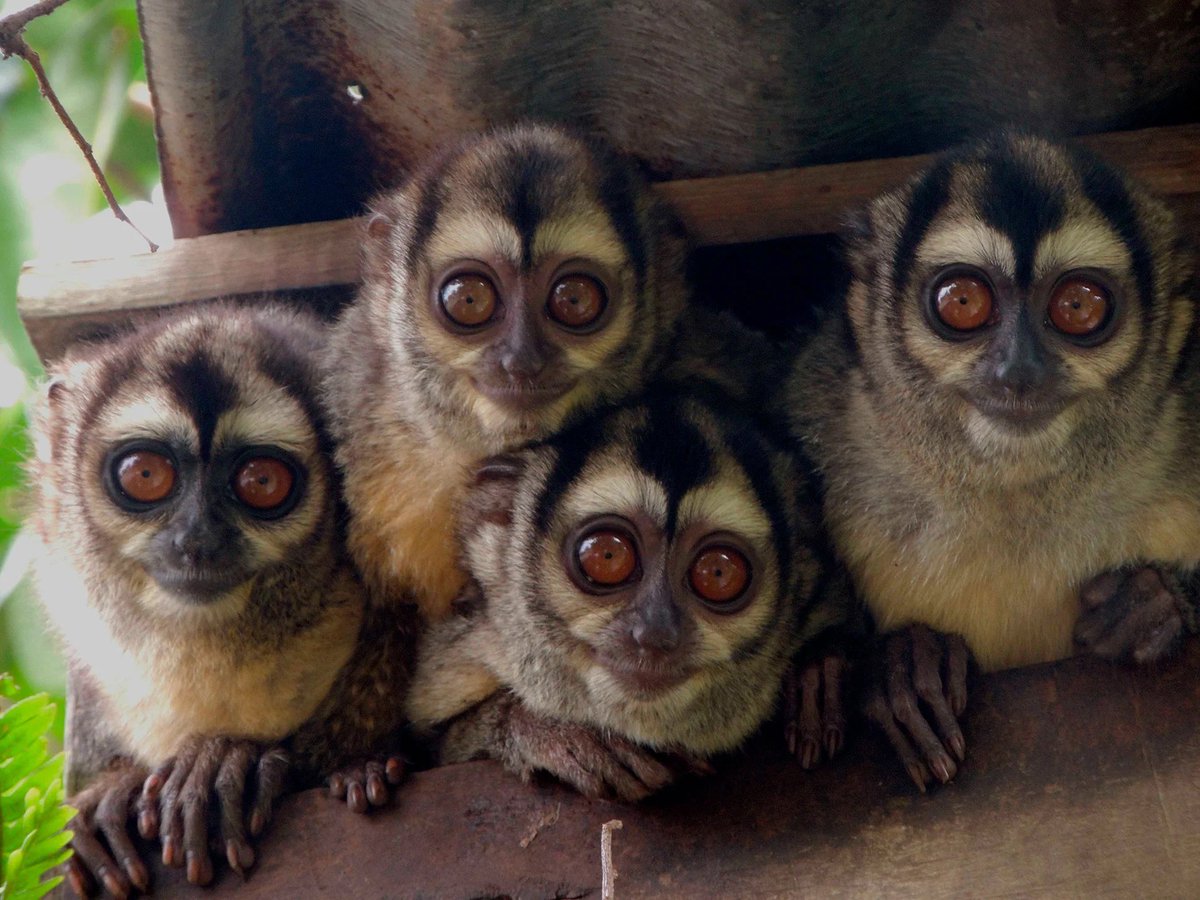 CienciasUniandes tweet media