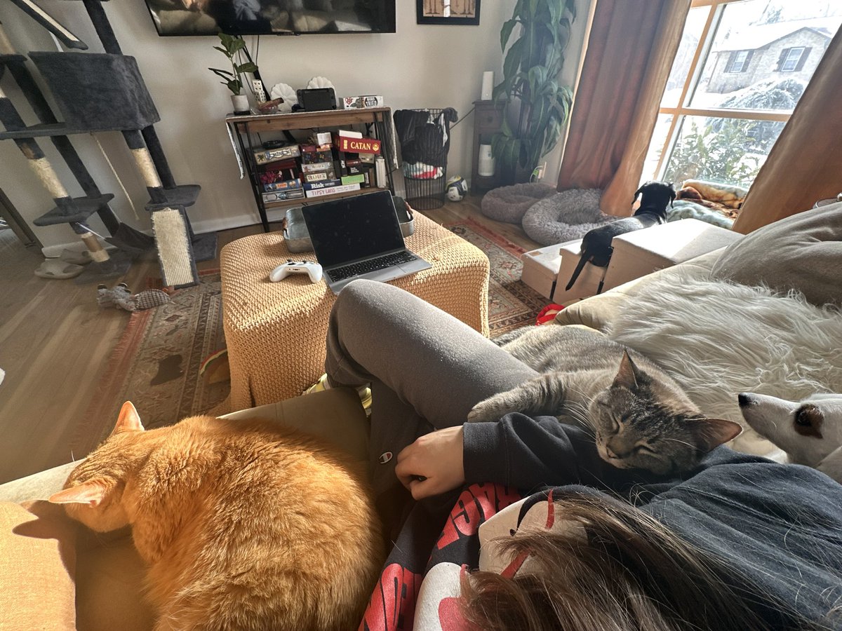 Working from home all week has been a dream