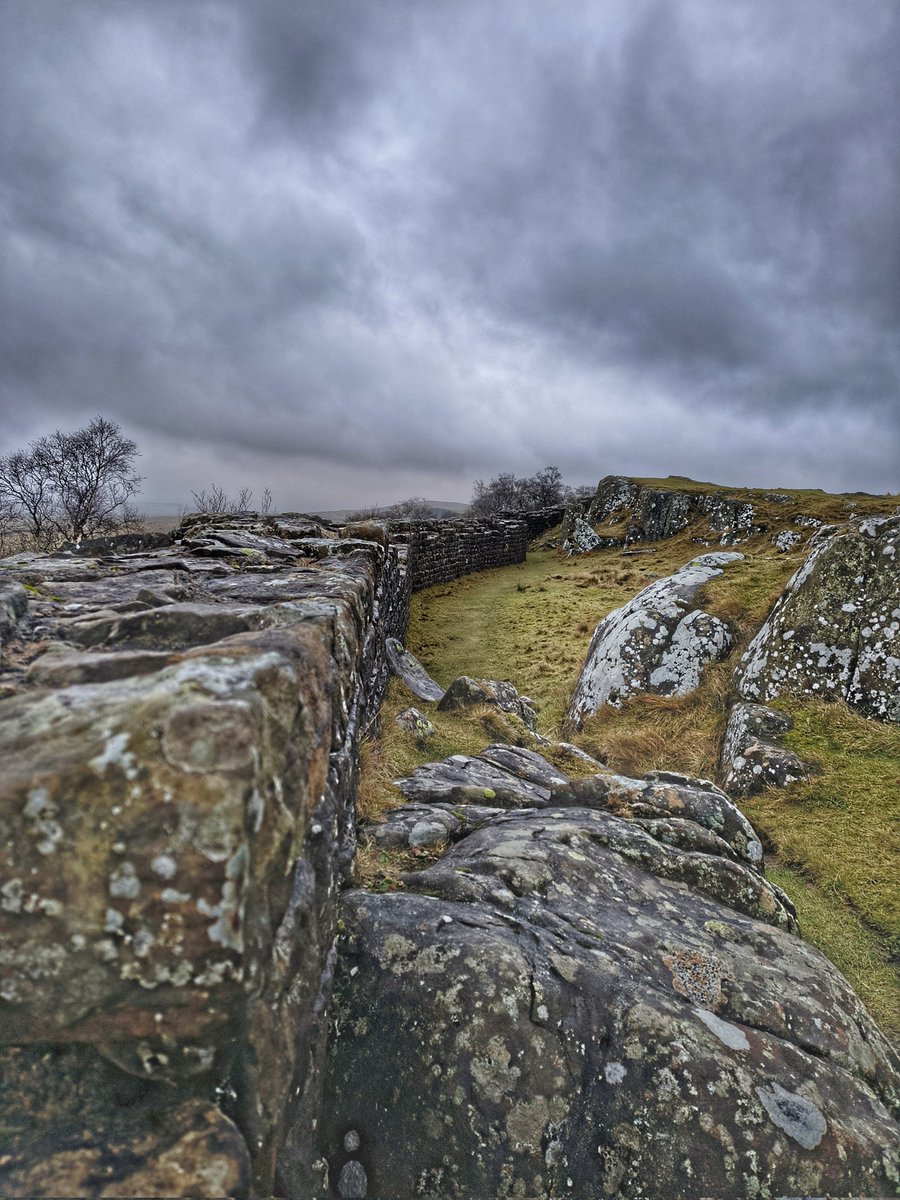 Up close with #hadrianswall #nationaltrail