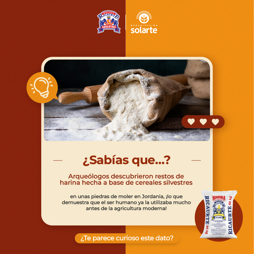 OrgSolarte's tweet photo. 🌾✨ ¡La harina tiene miles de años de historia! Se han encontrado restos de harina de más de 30.000 años, usada por nuestros antepasados mucho antes de la agricultura moderna. 😲🍞 ¡Un ingrediente que ha acompañado a la humanidad desde siempre! https://t.co/TLJJLMT7d9