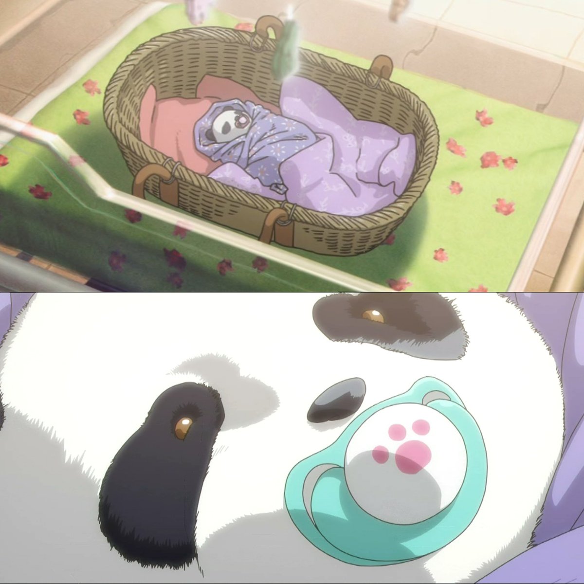 BABY PANDA IS SO CUTE 🥹