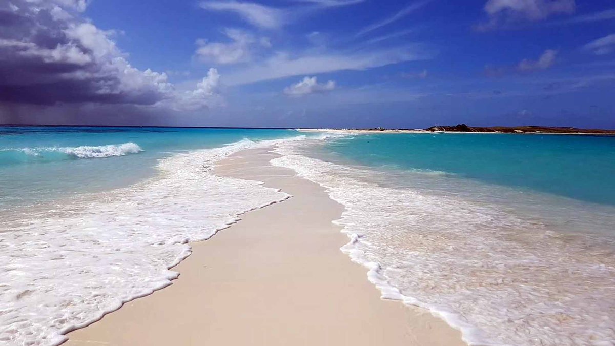 Los que usan "caribeño" de insulto, son las personas más envidiosas que hay. Claramente, porque ellos no tienen: