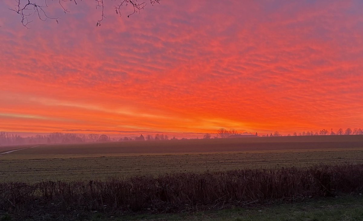 RoelWiche's tweet photo. Zonsopgang, 27 januari, 07.56 uur. Sittard, uitzicht op Selfkant (D). @magnifiekZL https://t.co/RUzdMWjq9H