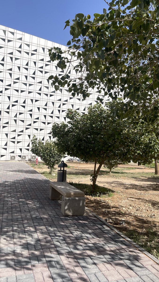 لنا العبدالله Ψ tweet media