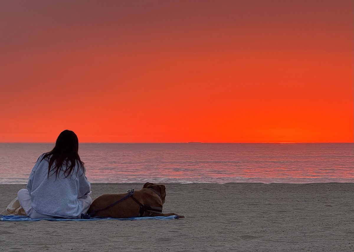 JennyTwrites's tweet image. Perfect. 🌅🐾💖 #naturelovers #sunsetlovers #doglovers