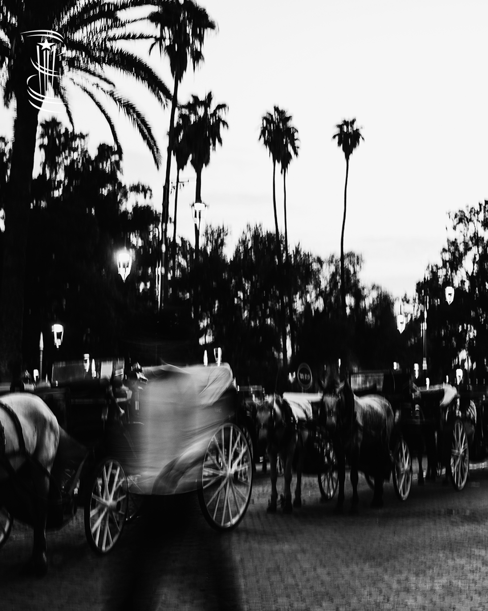 Marrakech Film Festival tweet media