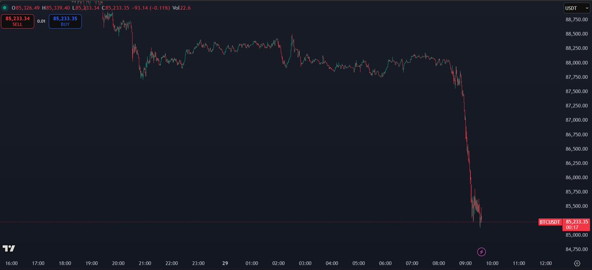 K A L E O tweet media