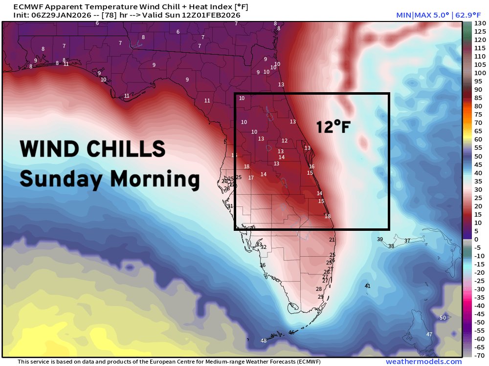 RyanWeather's tweet photo. Hazardous cold in Florida Sunday morning 

Wind chills along and south of Interstate 4 will be between 10°F and 15°F around Orlando Metro.

Also, down I-95 from frigid Jax to Melbourne in the teens 

Miami wind chills in the mid-20s  🏖️ https://t.co/nr8UV0RGpr