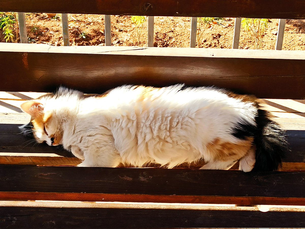 StatelessRevolutionaries tweet media