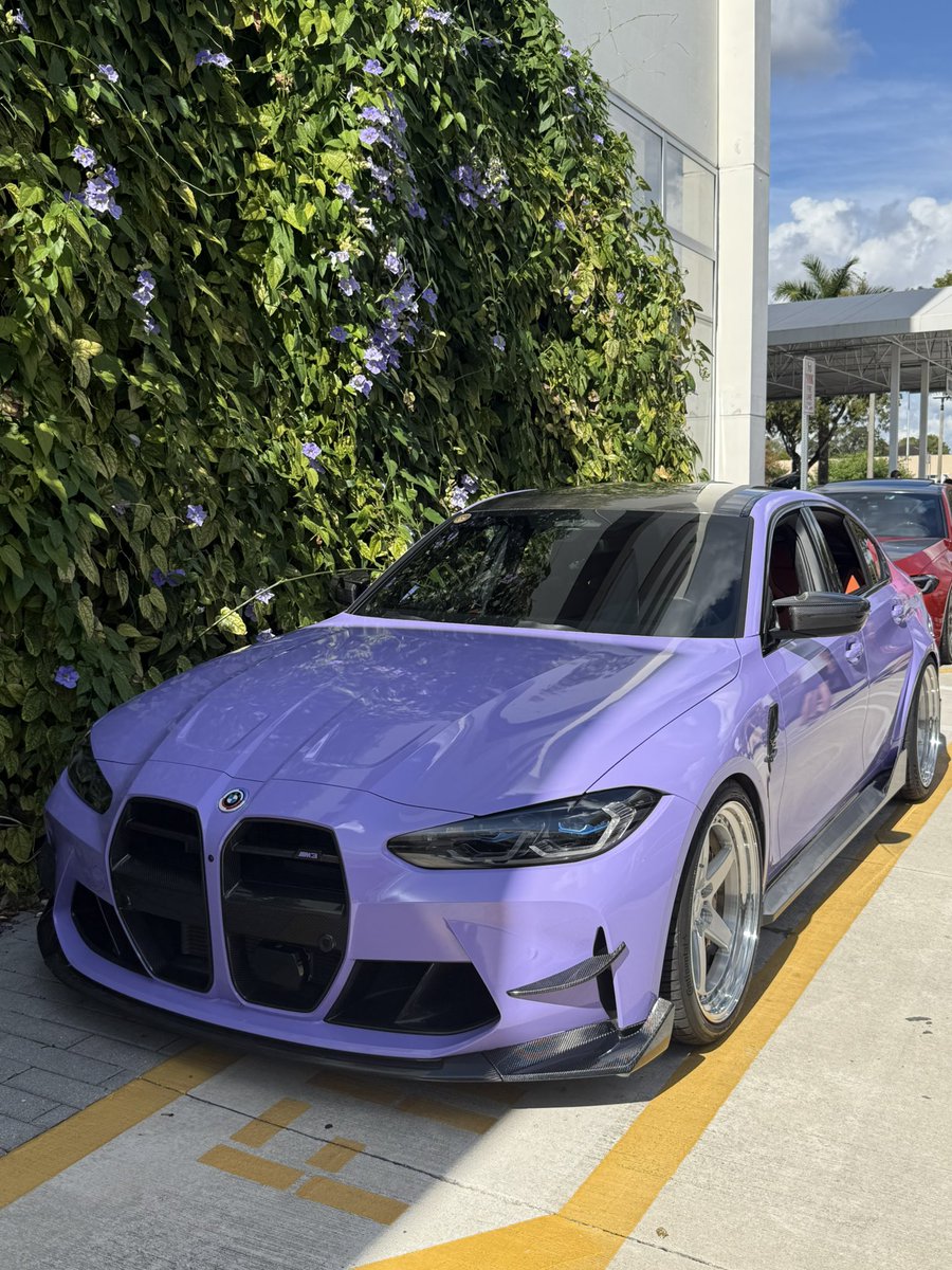 DirtyDan tweet media