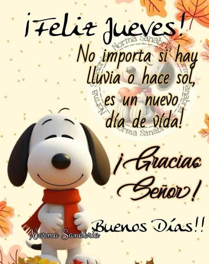 Buenos días un gran saludo a todos y que Dios nos bendiga siempre. 🌺