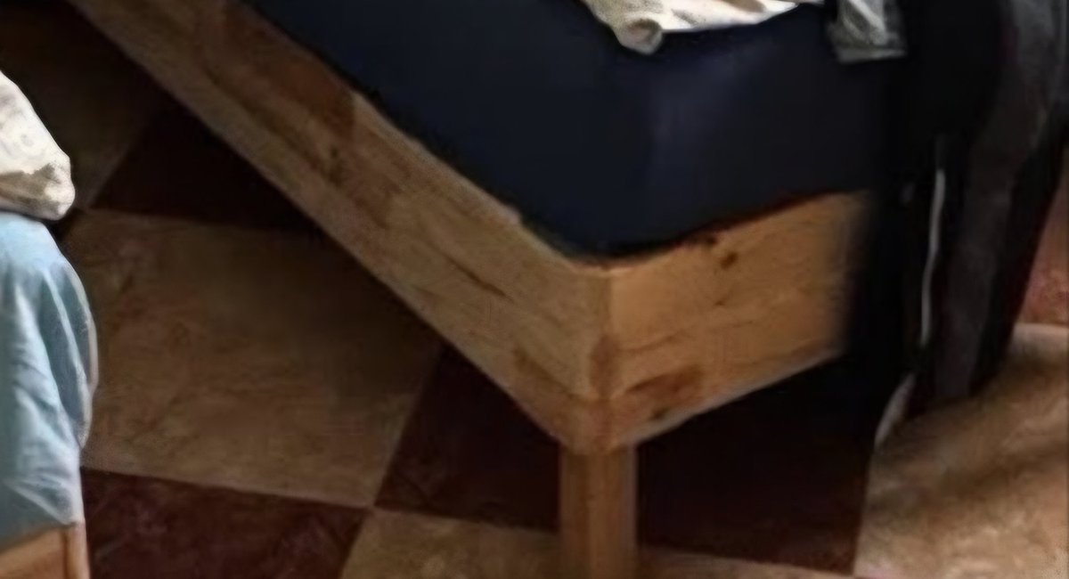 Peťulína Markvartová tweet media