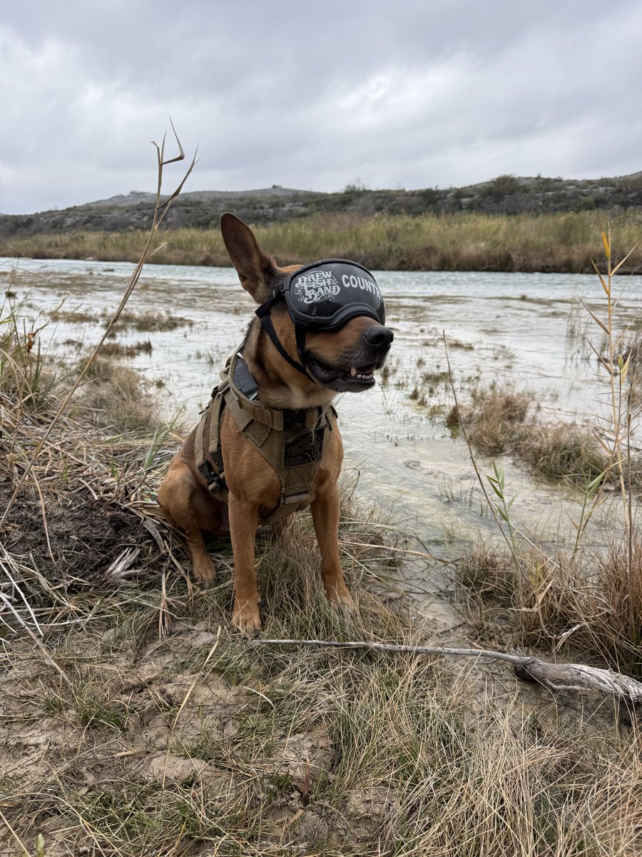 Drew Fish Band tweet media