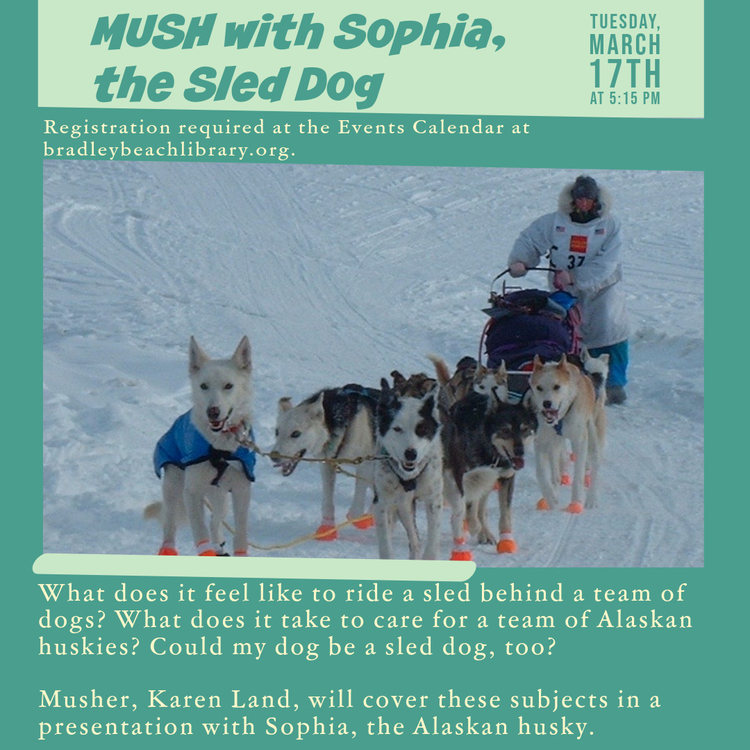 bradleybeachlibrary tweet media