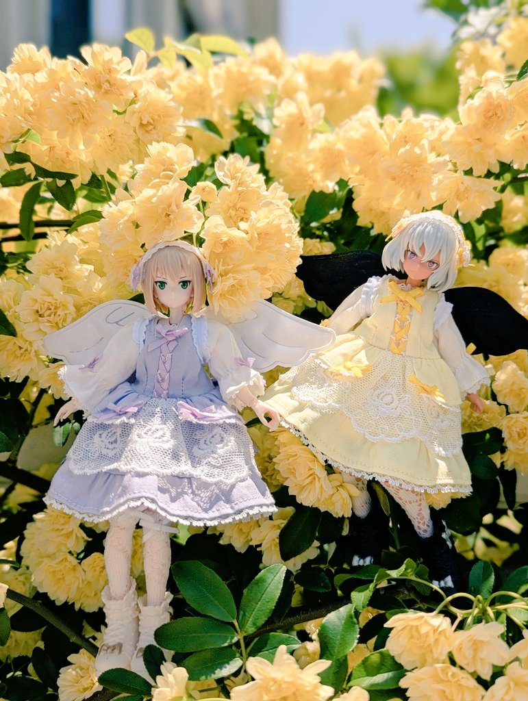 poppo715 (@poppo715poppo) / Posts / X