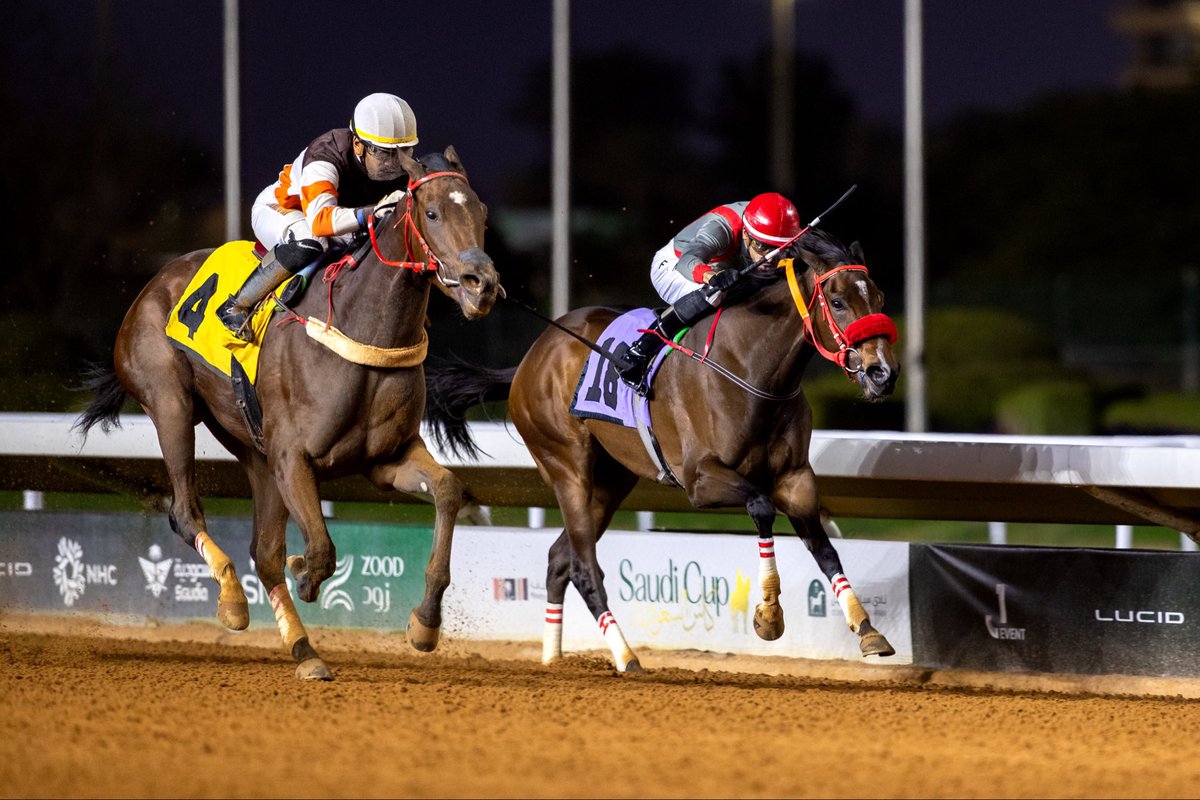 horsesnewsnet's tweet photo. #موسم_سباقات_الرياض
#الحفل_66
#الشوط_6
دعم نادي سباقات الخيل للأفراس المباعة في مزاد 2024
الفائزة: تلفت |السعودية | ابنة STRATFORD HILL
المالك: عبدالهادي شافي عبدالهادي الشافي
المدرب: عبدالرحمن الشافي
الخيال: عبدالاله الحصين
المنتج: ابناء سليمان محمد فهد بن زعير
الزمن: 1:29:41
المسافة: 1400م
#صخيفة_الفروسية