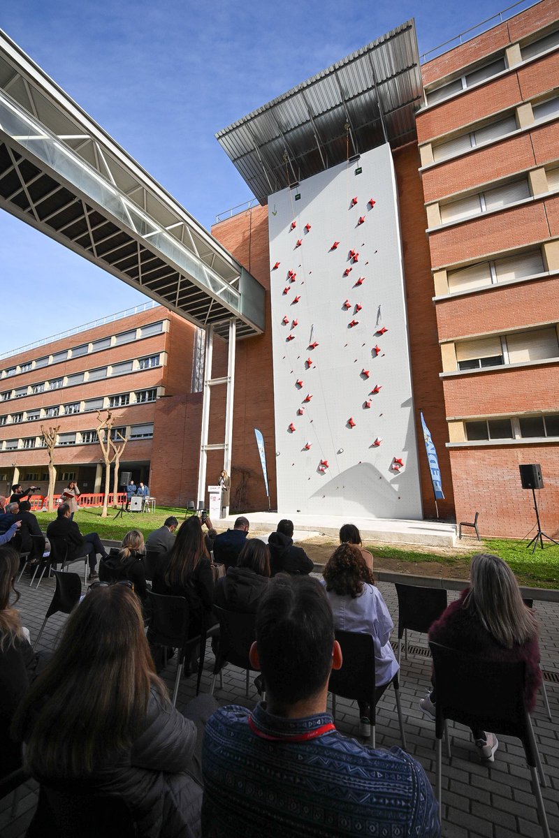 berni alvarez tweet media