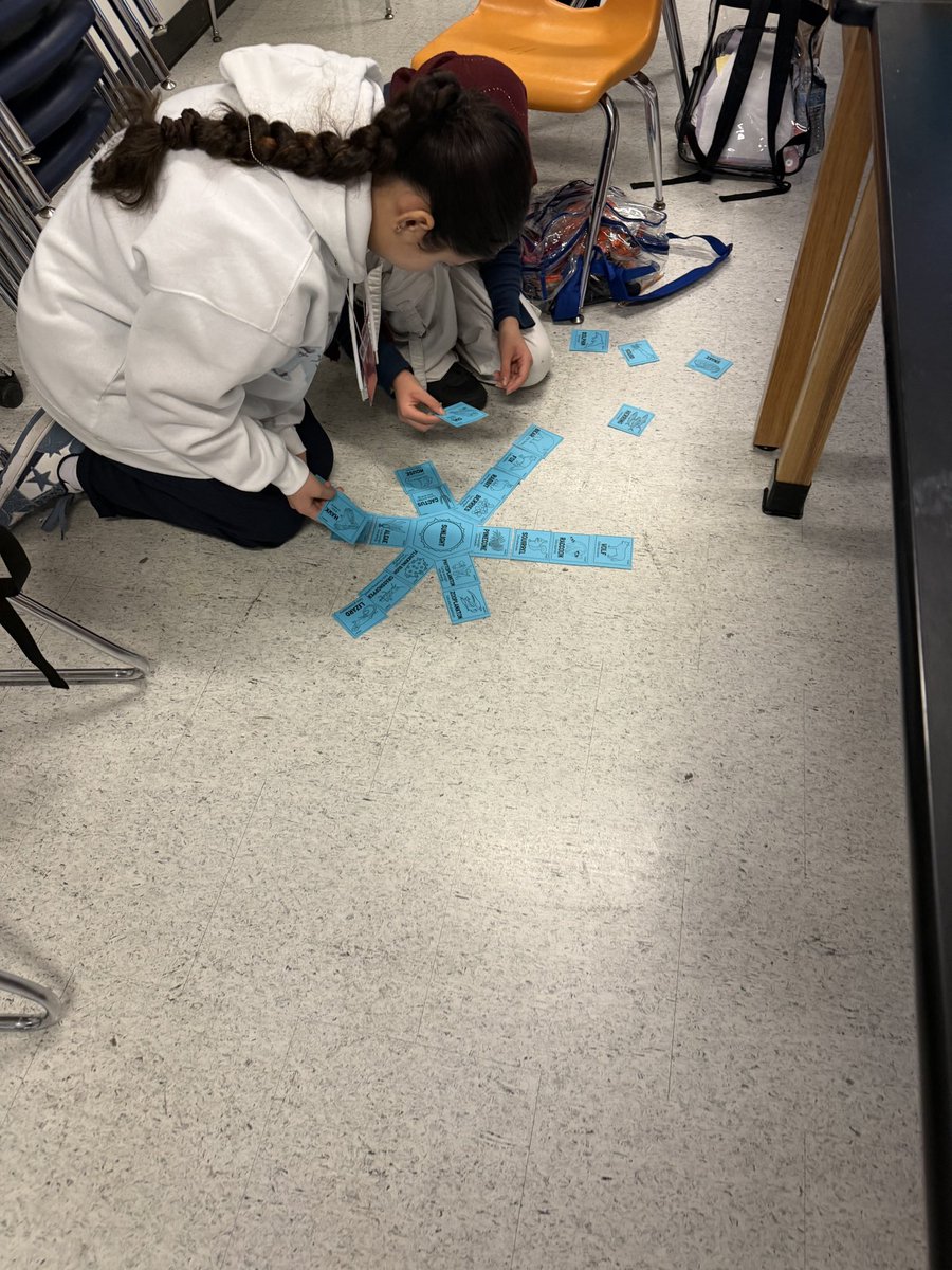 Killough_ESL's tweet photo. Ms. Zamora’s ELLs work together to create food chains…language, teamwork, and science all in one! 🌎🧠 @KilloughEagles @AliefScience https://t.co/jbnPuRIKQj