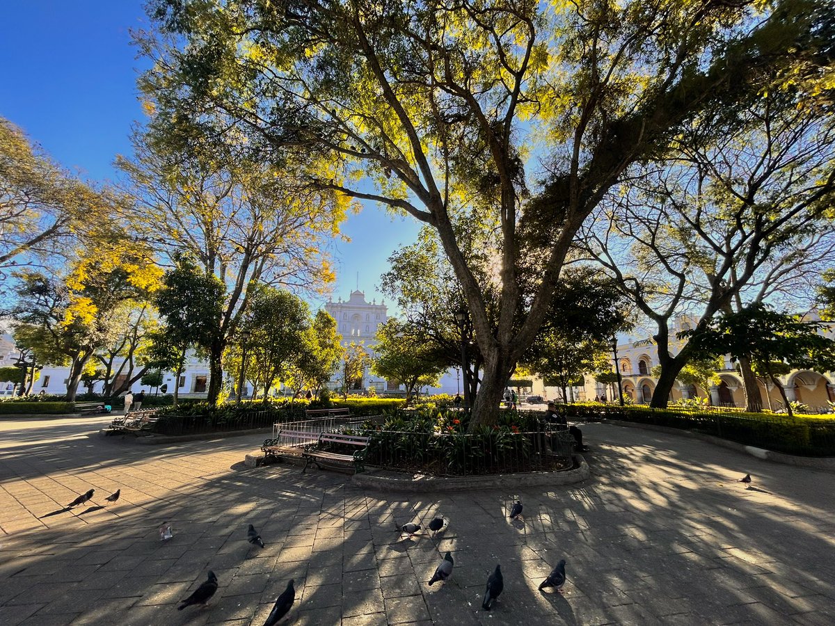 fiaheisenberg's tweet image. La paz de Antigua tempranito.