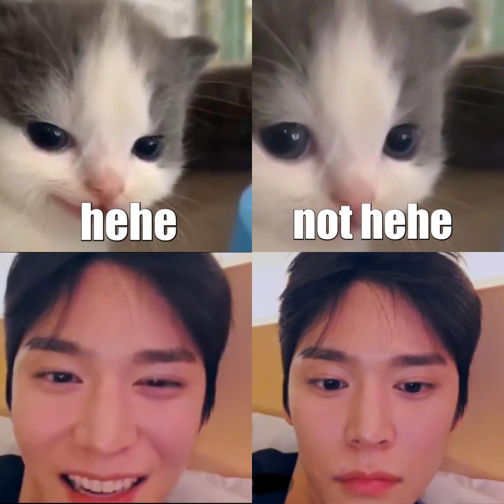 kittyseokbabe's tweet photo. https://t.co/ie33VXkwdz
