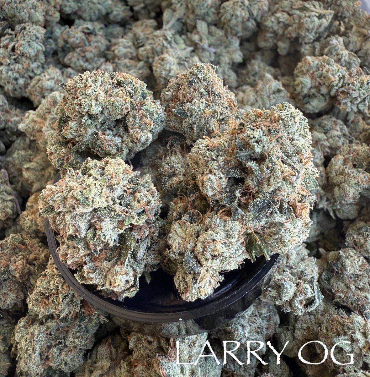 Burning Rope Pharms tweet media