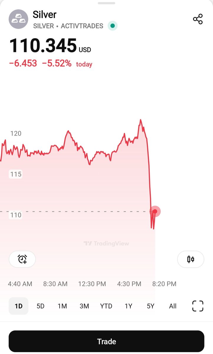 SILVER
110$