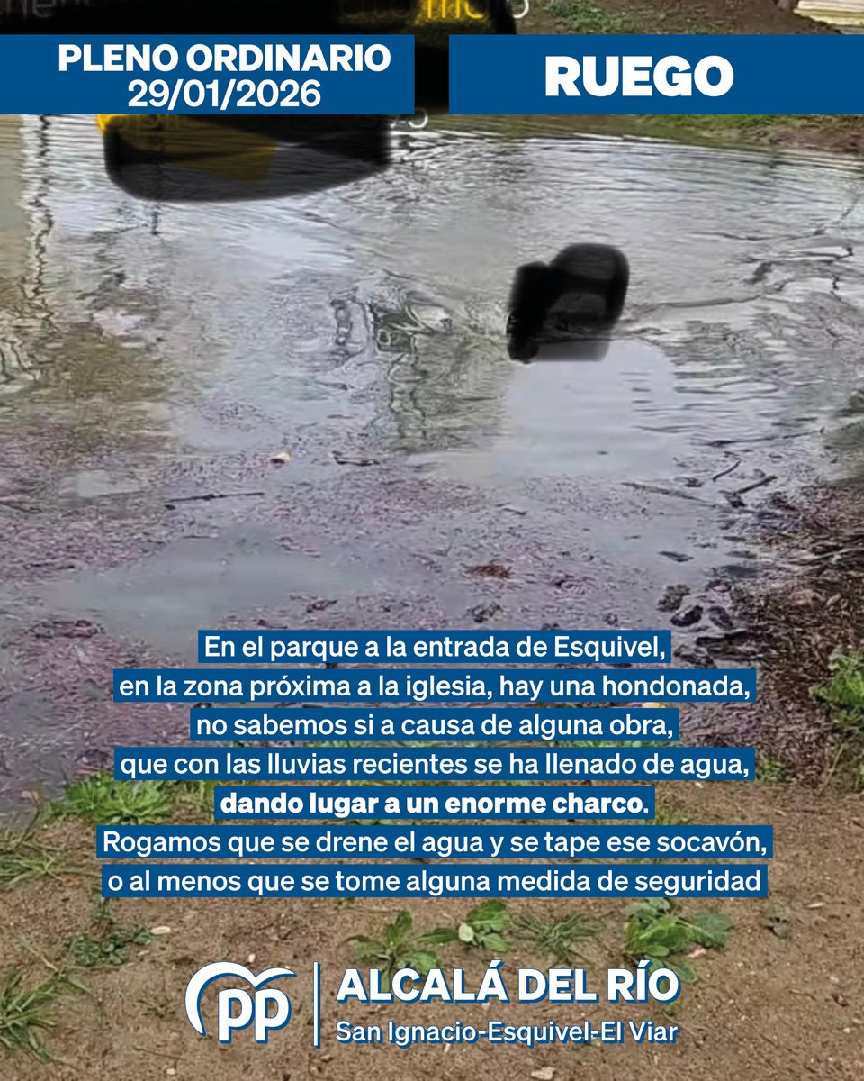 PP Alcalá del Río tweet media