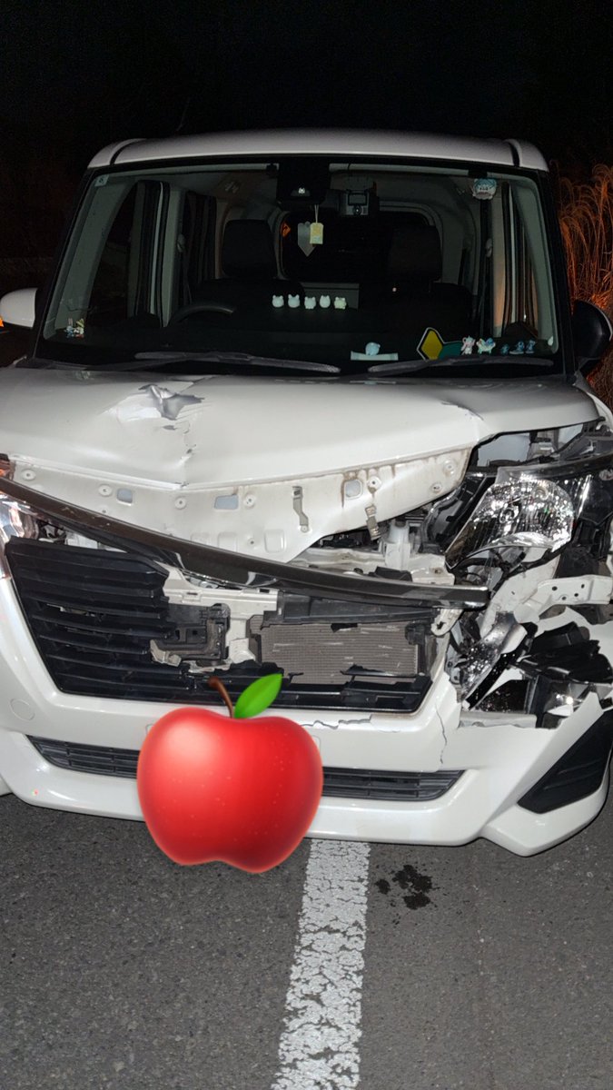apple__SNKZ's tweet photo. 半年間ありがとう
初めての愛車。
鹿許さないよ。 https://t.co/0bIBTHIv31