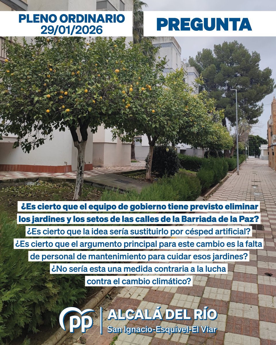 PP Alcalá del Río tweet media