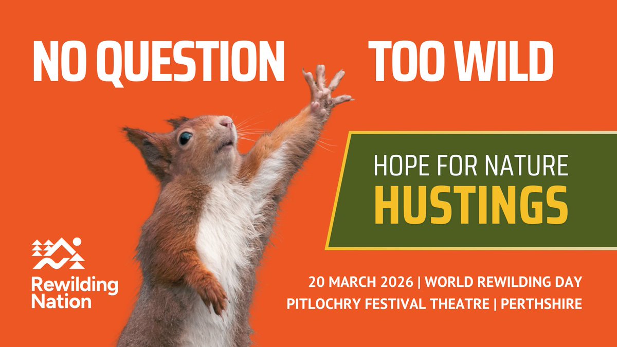 ScotRewilding's tweet image. With less than 100 days to go until the Scottish elections, the countdown is on!

Rewilding offers our best hope of restoring health to the natural world we all depend on. But what are Scotland’s political parties actually committing to for nature recovery? And how do their…