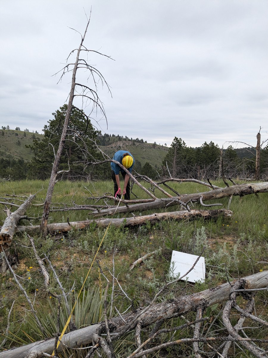 USGS EROS tweet media