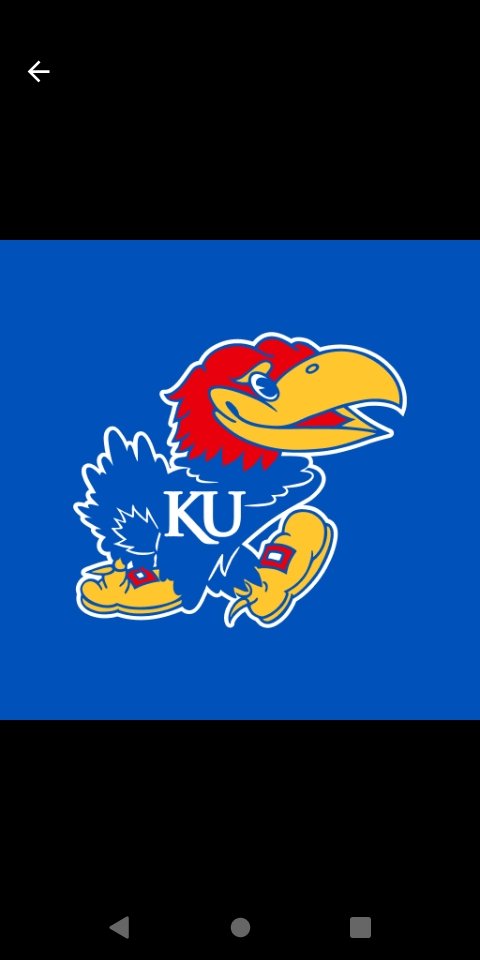 Zion (Scooter) Green tweet media