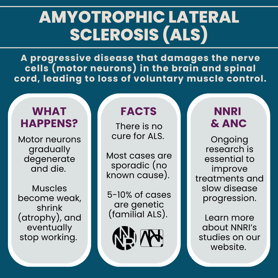 NNRI_Research's tweet photo. With no cure, research is vital. NNRI is conducting research to better understand this condition and exploring potential treatment options through clinical trials. 

Learn more about NNRI's studies: https://t.co/7rVz2y9mrp

 #ALSResearch #ClinicalTrials #RareDisease https://t.co/vZ10fgOAIC