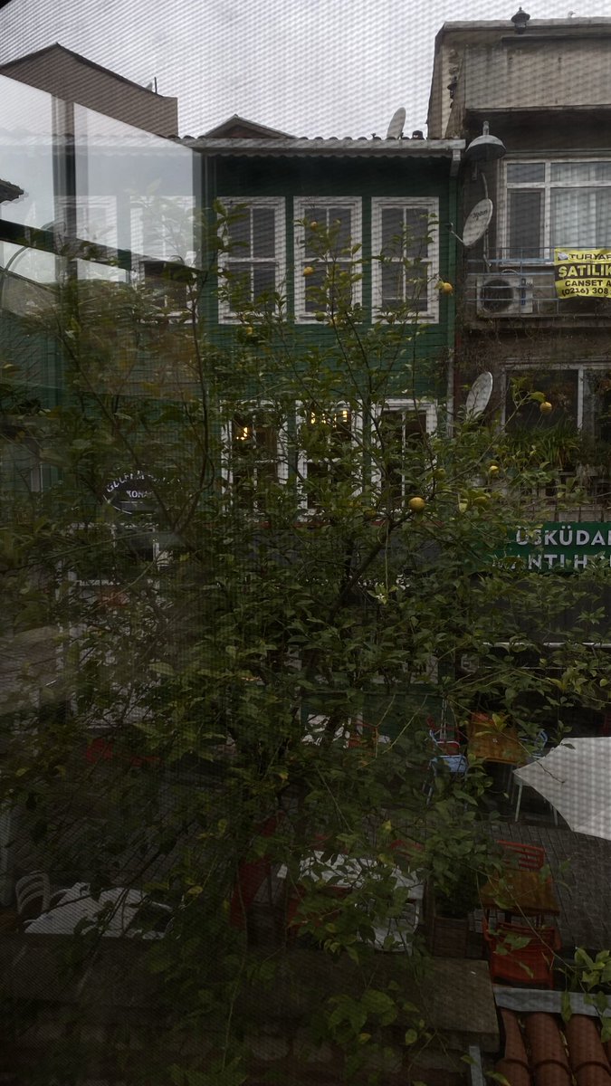 simdi ben sukunetle bekliyorum ama ya gelmezse <a href="/ilaydanursnmz/">ilayda</a> ❣️🥹