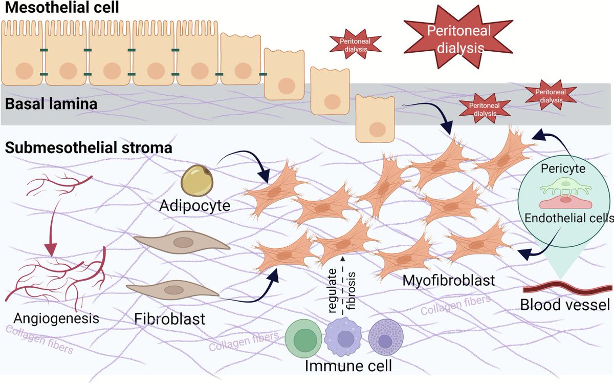 FASEBPubs tweet media