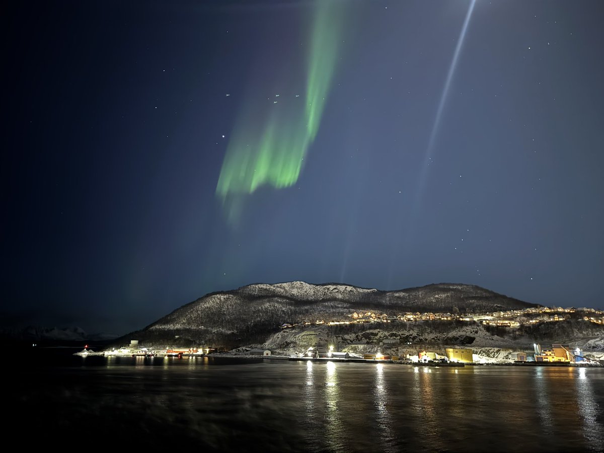 Danny C 🧜🏼‍♂️ tweet media