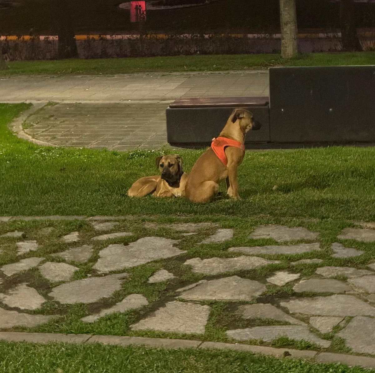 İkisi de atılmışlar üç gündür aynı yerdelermiş. Ayrılmamışlar.