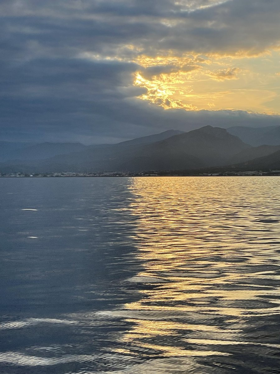 Plastic Busters tweet media