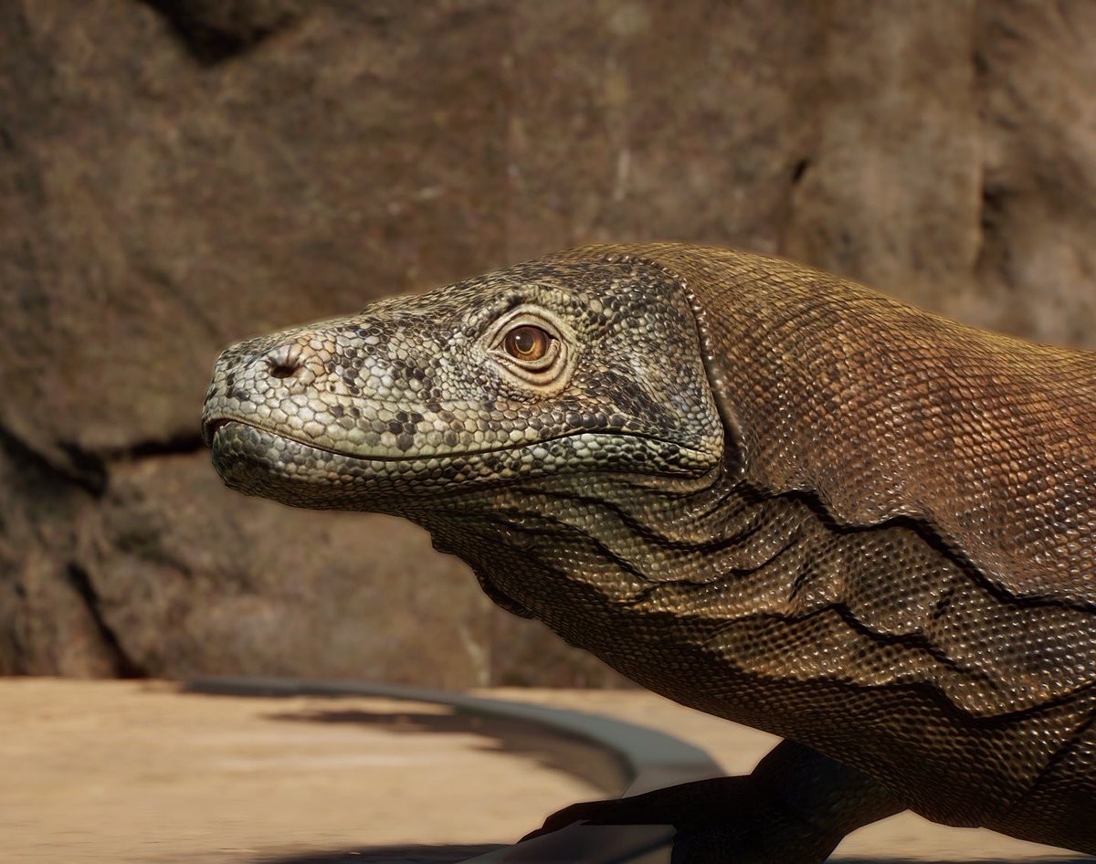 Cesar Creates tweet media