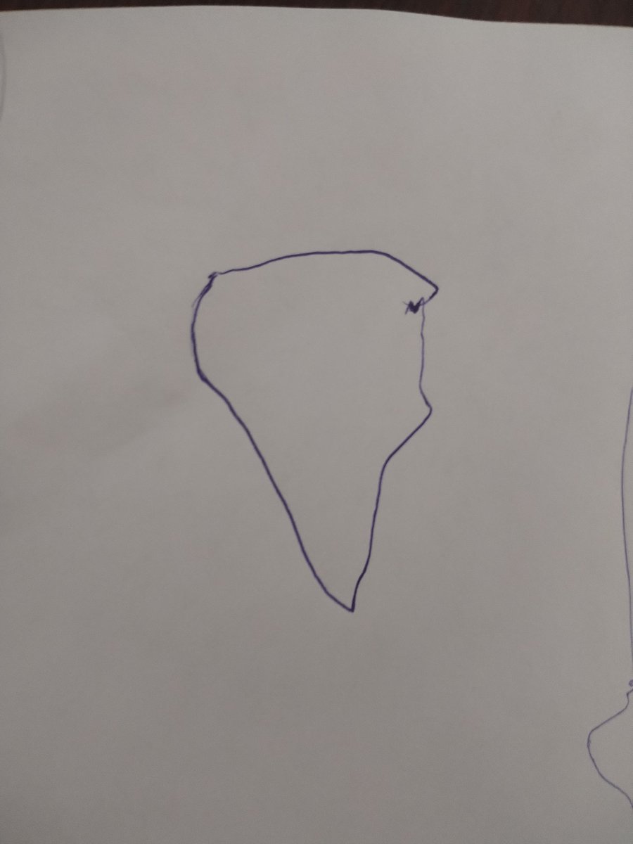 Бу сабзи экан. Сафия чизди.